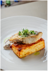 Ресторан «Ленинград» — Судак на картофельном гратене — фото