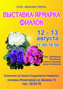 Выставка фиалок | 12 - 13 августа @ Ботанический сад | Тверь | Тверская область | Россия