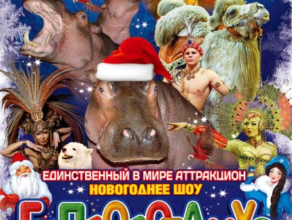 Продюсерский центр Гии Эрадзе представляет новогоднее шоу «Гиппопотамус» | 23 декабря - 14 января