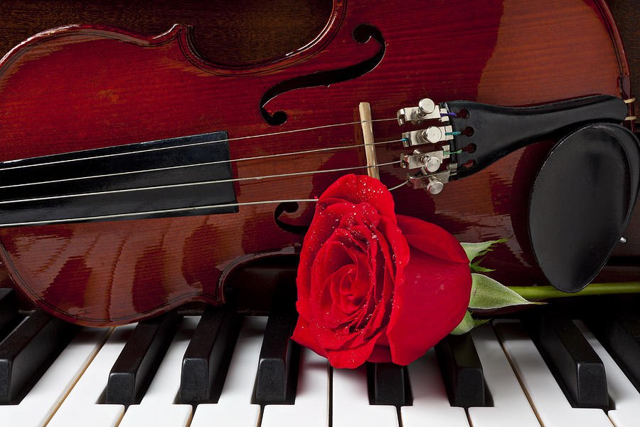 Концерт скрипичной музыки «Вечер, скрипка и рояль» | 4 февраля - 16:00