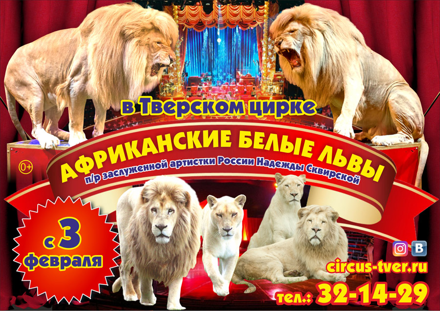 Цирковое шоу «Африканские белые львы» | с 3 февраля